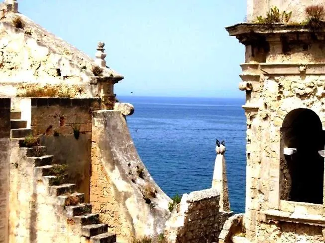 Anna's Rose * Монополи