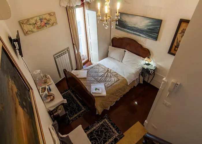 Anna's Rose Monopoli